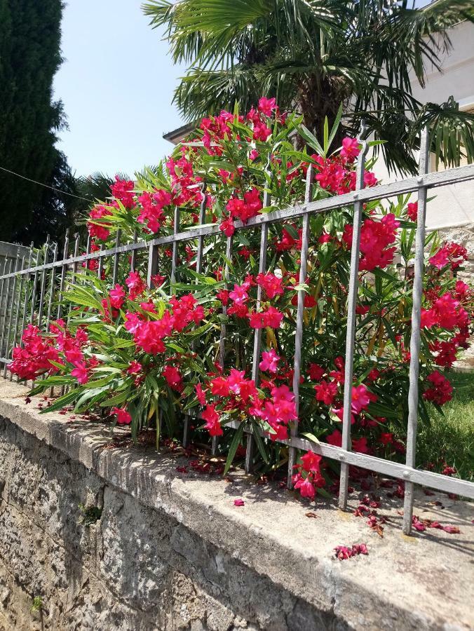 Charming Hill Apartment Opatija Eksteriør bilde