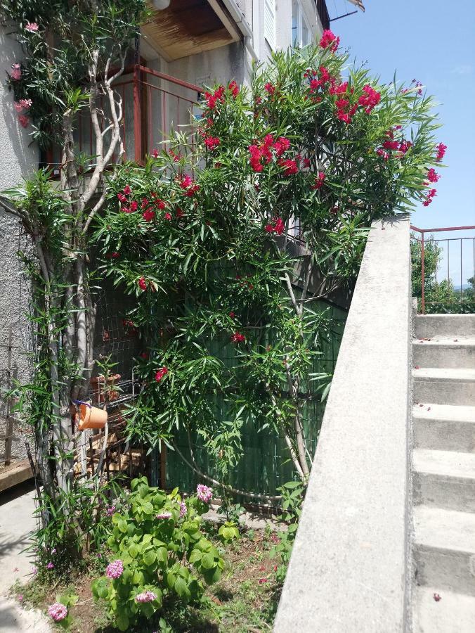 Charming Hill Apartment Opatija Eksteriør bilde